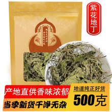 永康元 紫花地丁中药材新货犁头草地丁草中药材地丁地丁茶泡水
