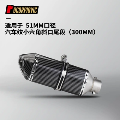Motorcycle Modification Full Carbon Fiber Imitation Small Hexagonal 51mm Universal Exhaust Pipe Tail Section 450Sr 321R (Motorcycle exhaust pipe) - full-imitation-carbon-fiber-small-hexagonal-300mm-inclined-tail