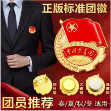 团徽磁吸正版标准型共青团胸针团员中国青年团监制徽章蝴蝶扣团徽
