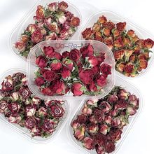 ^õdiybС̖ɻzϰĔzbins[