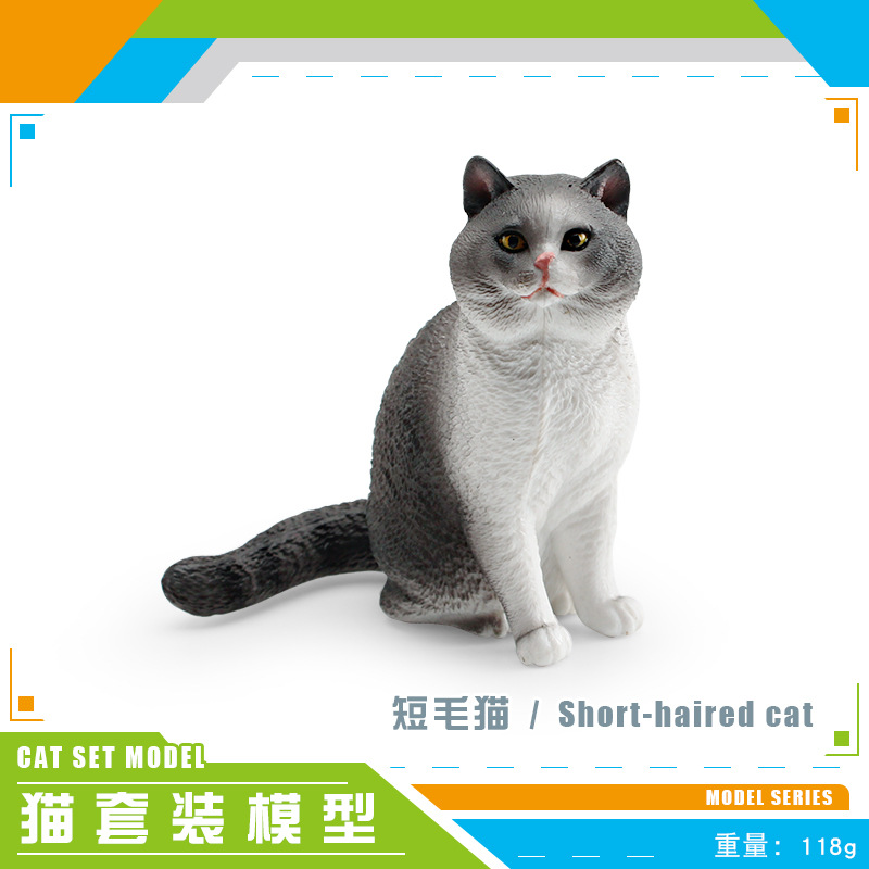 Gato de simulación transfronteriza modelo animal cognitivo infantil de pelo corto gato de tela gato Maine Coon gato mascota gato adornos