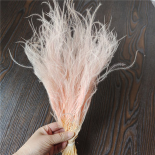 ?���������� ��ë�ݽqë�� �Y�в����ָɻ���DIY����o����