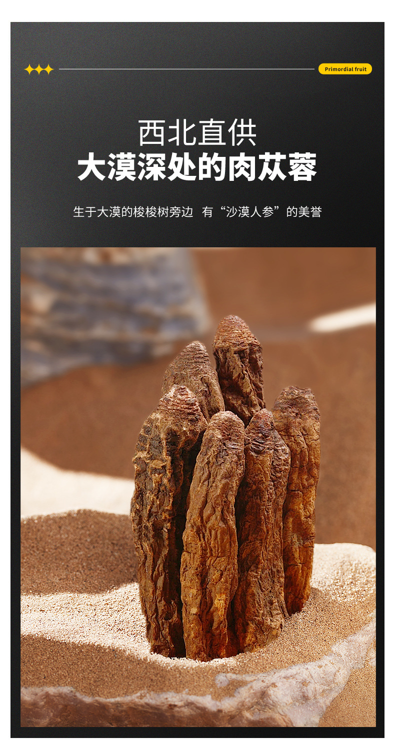Dried Cistanche Root Slices Rou Cong Rong 100g Bottle for Tea and Wine Soaking overview