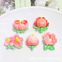 ���L�ɻ���֬С���늄�܇�b�Ʒ�NƬ diy�����z����Ь�۰l�A���