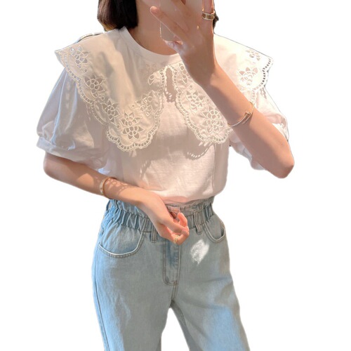 Summer 2025 South Korea Dongda Embroidered Lotus Flower Baby Collar Ins Style Fashion Short Sleeve Blouse