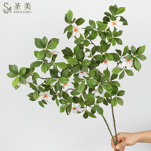 ���W����Gֲƽ��d���~�٘�֦�͏dֲ���b[���廨�bGֲ