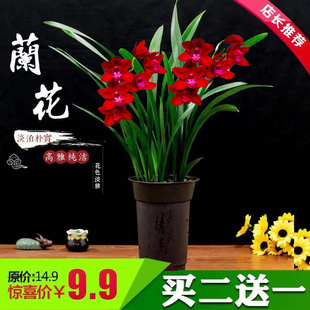 �m�����Ի��玧�������F��߅ī�m���m�������B�Ļ���ֲ���҃ȾGֲ