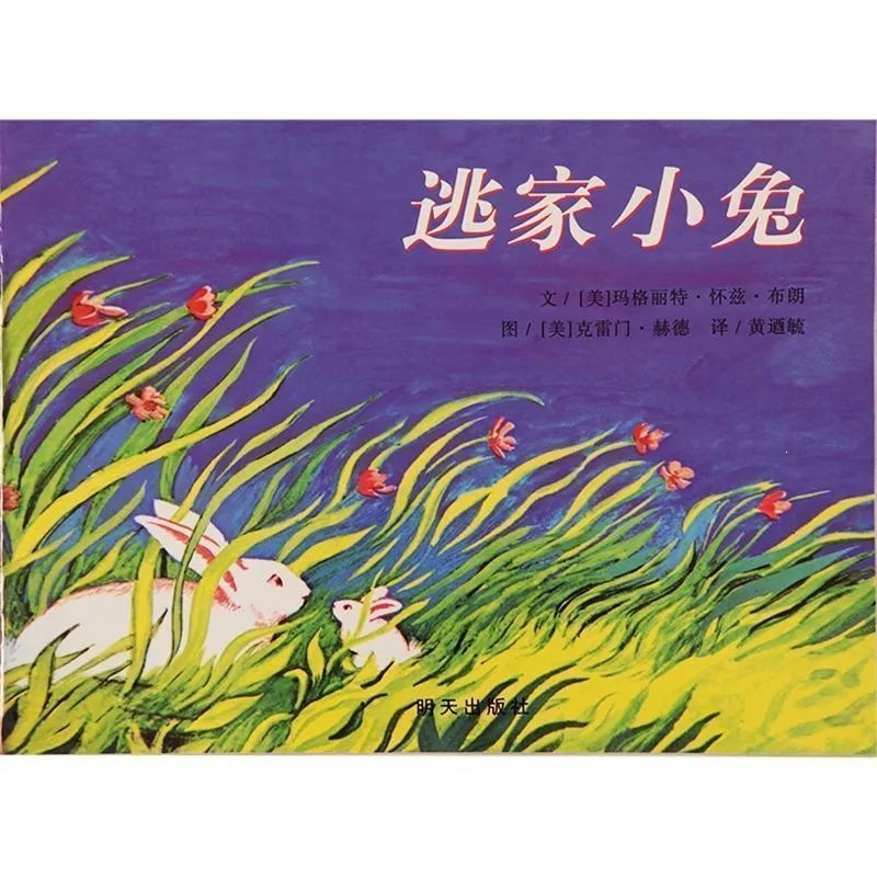 Fugitive rabbit