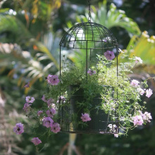吊兰垂吊花盆吊挂悬挂吊篮花架挂架垂挂壁挂麻布篮子铁网格花盆