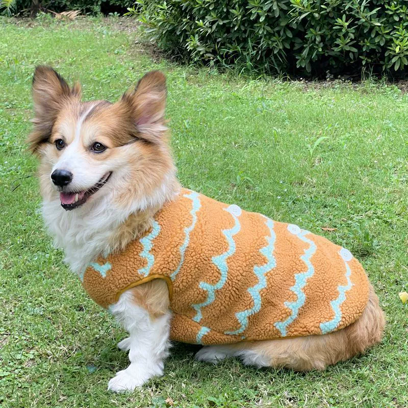 Собачья одежда, чтобы бороться осенью и зимой, Теди Кики толстый бархат весной, чтобы согреться