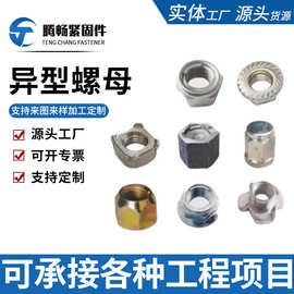 供应异型螺母异型件非标异形螺母螺帽螺栓数控机械异形件