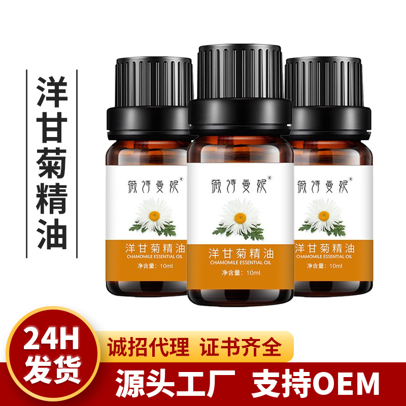 Dongxuantang Natural Chamomile Essential Oil 10ml Care Aromatherapy Bath SPA Massage Moisturizing Maintenance Essential Oil Wholesale