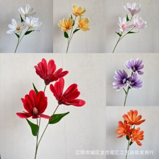 ��Y �Ɍ� ���滨���^��ʽ���m�� ����ʽ�Ҿ� ��c���� �zӰ�b�