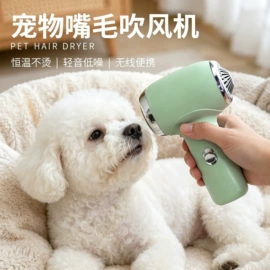 伊丽莎白圈;宠物项圈;狗狗食具