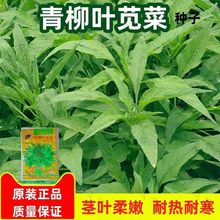 ~{˷N{˷Nѻt~߲˷NѴȫrļ̨