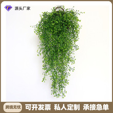 �羳����Gֲ���R���ٗl��c�Ҿ��b��҃ȼٻ����@�ڒ컨���b�