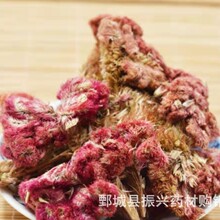 【振兴药材】中药材批发供应【鸡冠花】