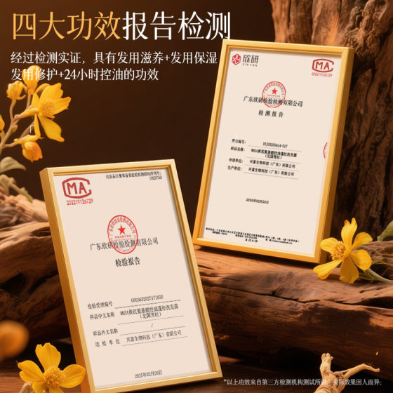Whsa Astragalus Amino Acid Oil Control Fluffy Shampoo Deeply Moisturizing Hair Smooth and Silky Shampoo Wholesale