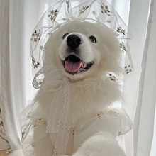 狗衣服大型犬耶耶的美记婚礼中婚纱可爱金毛萨摩装饰厂家热