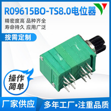 R09615BO-TS8.0���ܷ��λ����܇�����λ����������ʽ�λ��