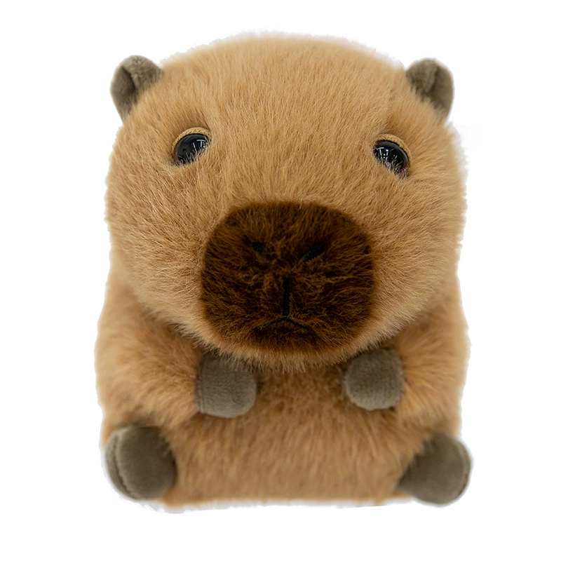 Cartoon doll, plush toy