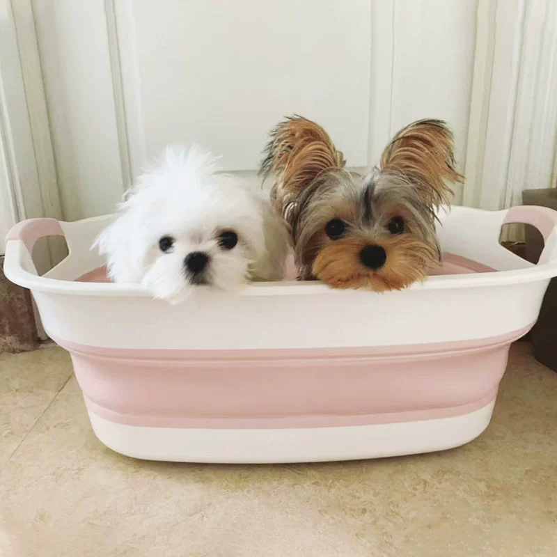 Домашние животные щенки лучше, чем медведь. Специальная ванна может быть сложена. Йоркшир Тедди ванна.