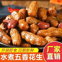 500克/袋卤煮花生卤汁五香麻辣水煮批发烧烤湿新零食下酒菜亚马逊