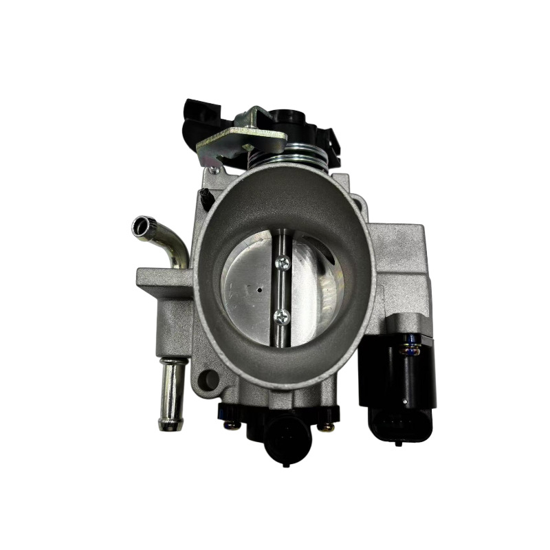 Cross-Border Supply of Throttle Valve Assembly 17113688 12595271 17113630 17201054