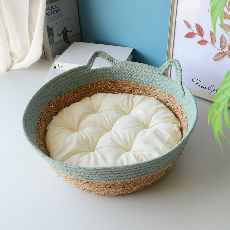 청록색 고양이 귀 소켓 + 흰색 화장솜