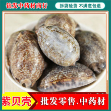 螺紫貝 螺紫貝批發 促銷價格 產地貨源 阿里巴巴 螺紫貝 螺紫貝批發 促銷價格 產地貨源 阿里巴巴