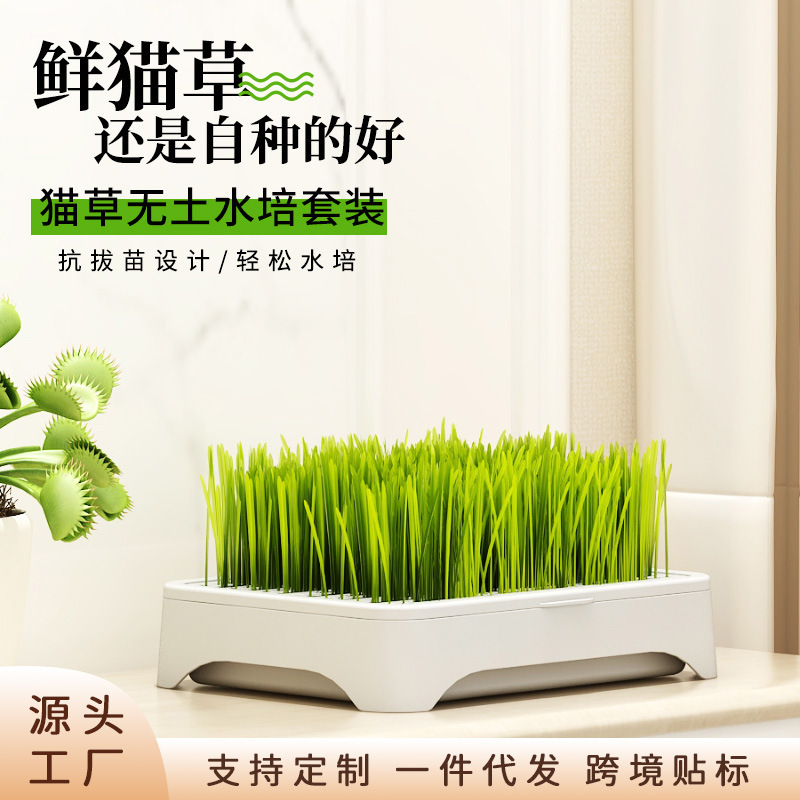 Hydroponic Wheat Seeds Cat Grass Ready-To-Eat Potted Cat Box Snacks Lazy Hair Ball Soil-Free Self-Grown Pet Supplies