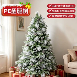 圣诞树;圣诞花环