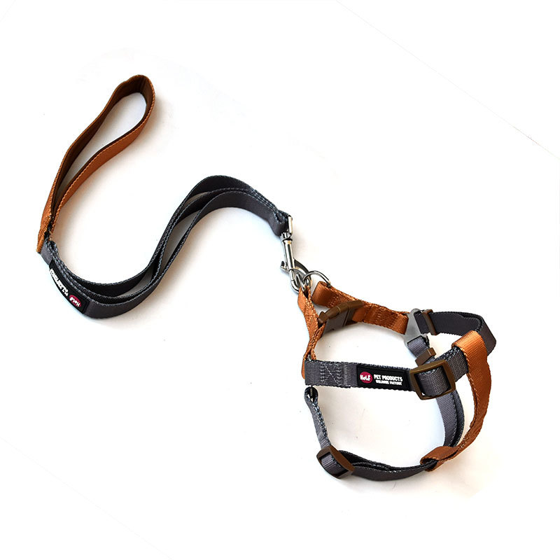 5 그레이 + 브라운 (플라스틱 버클)