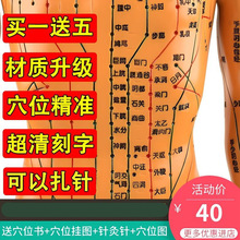 ��ҽ���Ѩλ����ģ�;���Ѩλģ��ͼȫ����ҽʮ��ͭ������СƤ��