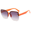 Fashionable sunglasses with letters, pony, glasses solar-powered, new collection, Korean style