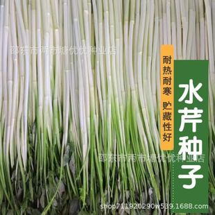 ˮ�۲˷N���ļ�С���۴��������۲˷N���ļ������͟��ͺ��߲˷N��