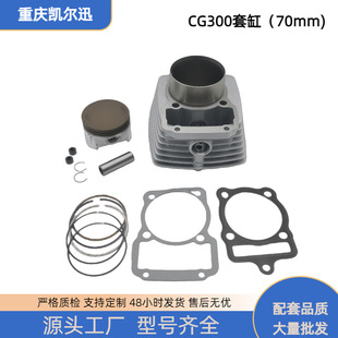 �羳Ħ��܇��݆܇�m��CG250 CG300�׸��׼�����и��w�������70m