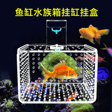 鱼缸隔离盒保护小鱼悬浮式亚克力水族饲养箱大小号孔雀斗尚尚SSB