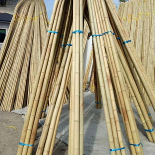 ��������b��S�ּ�����Ӷ��ǲˈ@�S�ϴ�ܲ˼�����U���