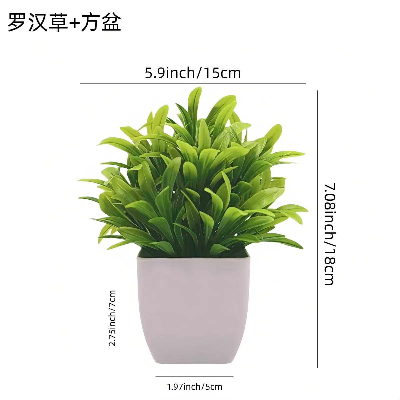 Venta al por mayor transfronteriza de Amazon: Juego de 10 mini plantas artificiales en maceta para decoración del hogar, eucalipto, lavanda, bonsái image 11