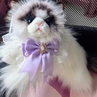 Big Bow Series Pet Bib Pearl Wedding Dress Bib Pet Cat Dog Collar Cute Cotton Lace