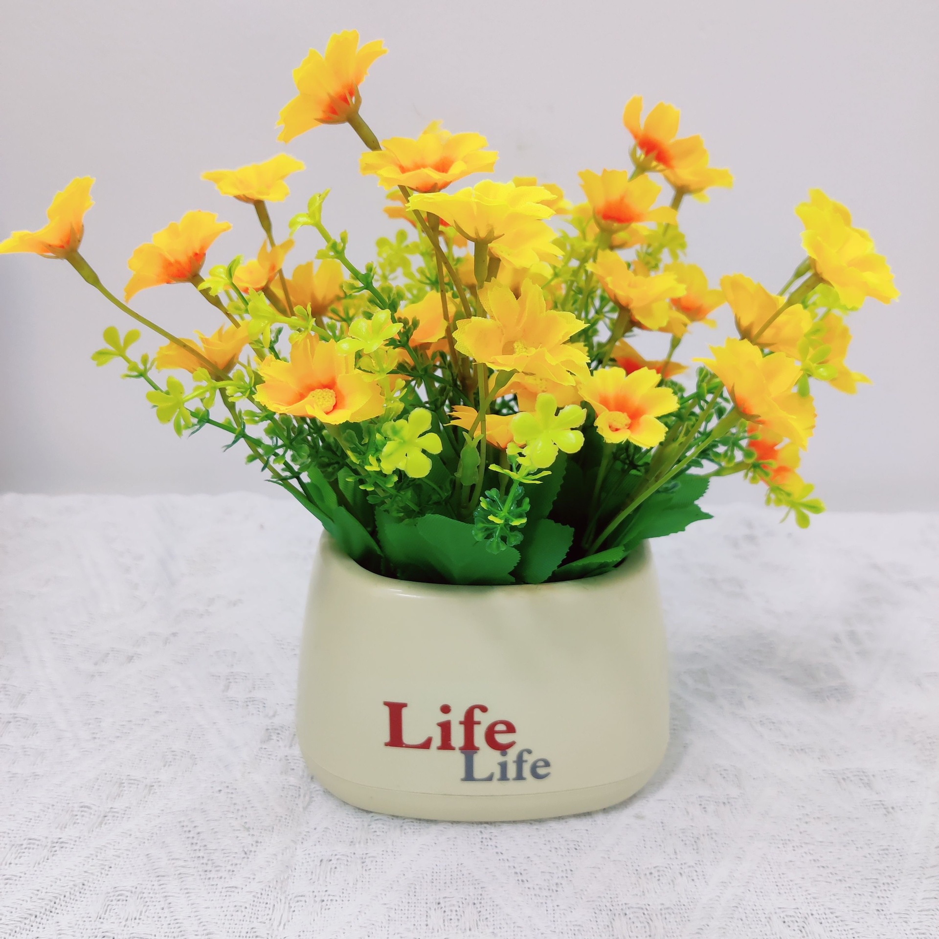 라이프 분지-푸른 국화 노란색 점프