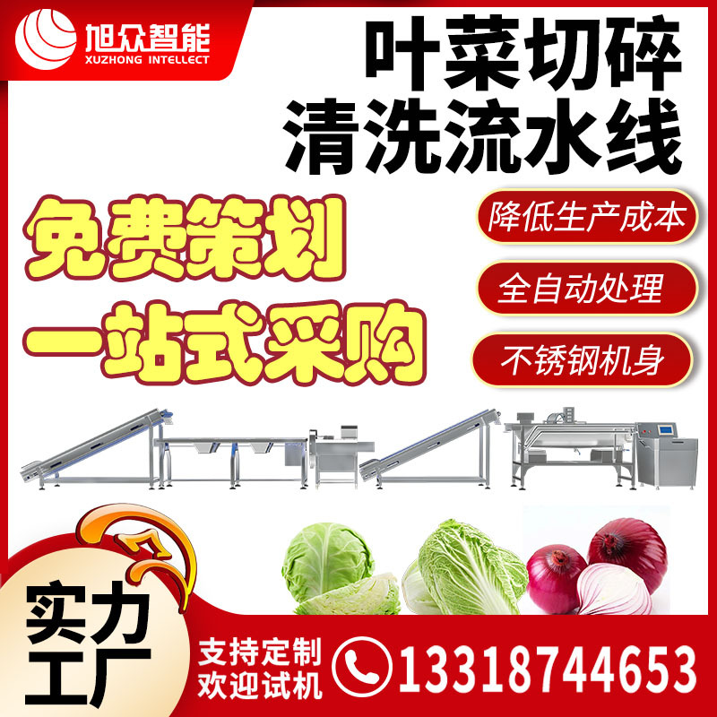 叶菜切碎清洗流水线2