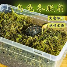 乌龟冬眠套装龟过冬椰土苔藓沙土垫材乌龟保温饲养箱乌龟冬眠箱