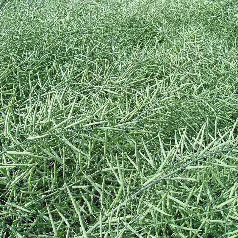 微信图片_20201009211820