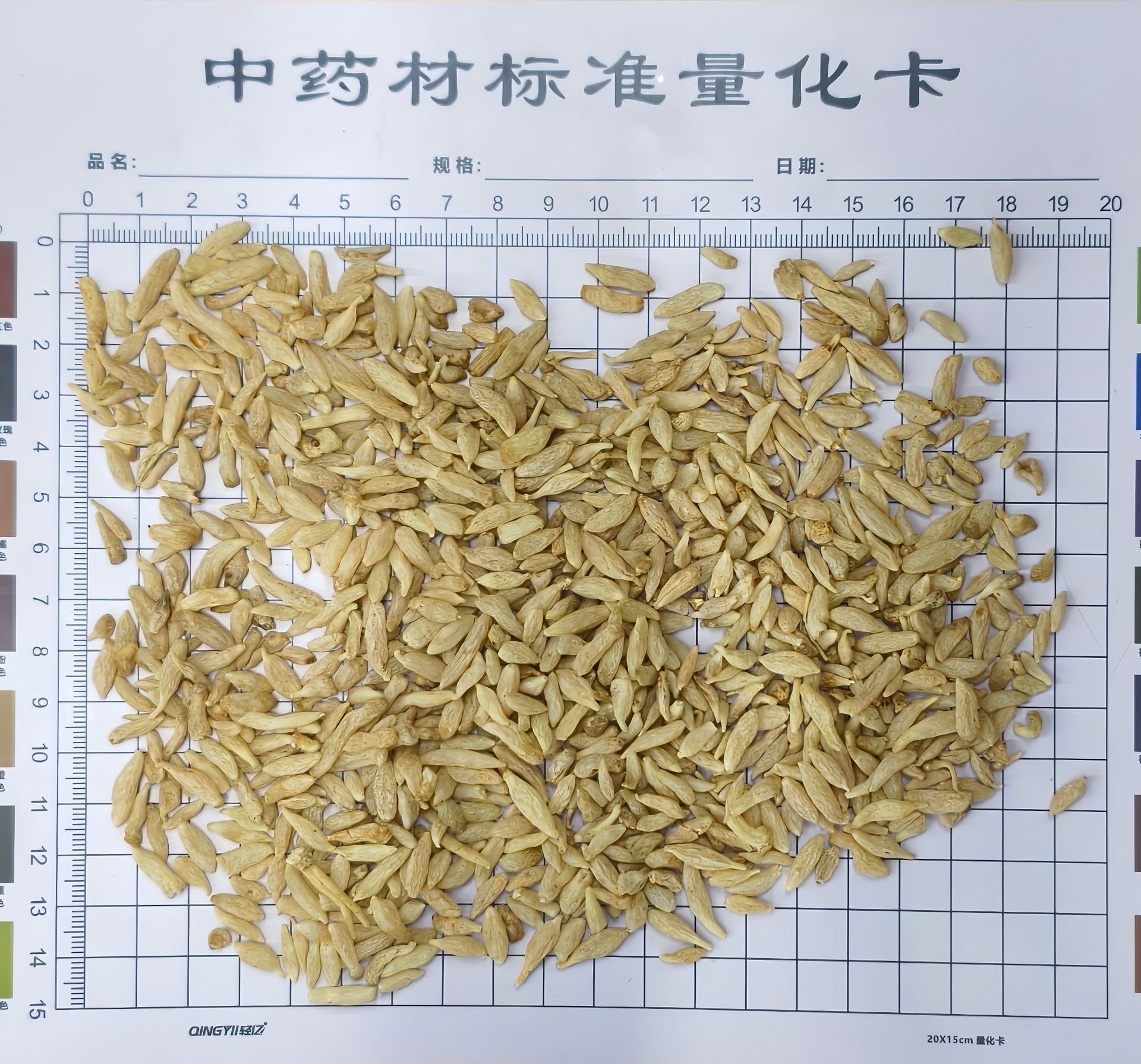 F. Small grains of Ophiopogon japonicus for tea bags