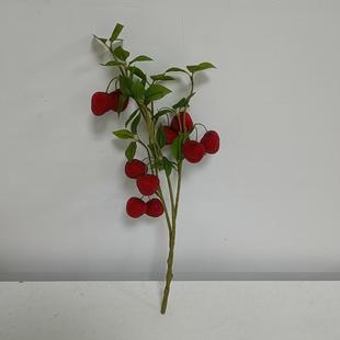 ����ˮ��10�^��÷�����÷֦������Ͱ�廨�Ҿ��b�ˮ���zӰ����