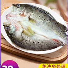 ���|�~�_�����r����r��������|�~���~�R�~ˮ�a���~���Ʒ����