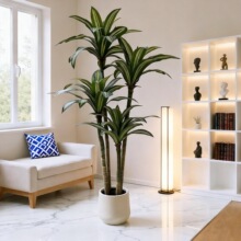 �羳���N�����Gֲ�����F������渻�F�~�҃��b[���������ľ
