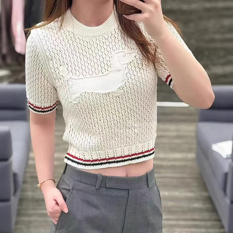 Academy-Style White Mesh Hollow-Out Short-Sleeve Sweater for Women, Korean-Style Round Neck, Slim-Fit, Trendy Top Academy-Style White Mesh Hollow-Out Short-Sleeve Sweater for Women, Korean-Style Round Neck, Slim-Fit, Trendy Top